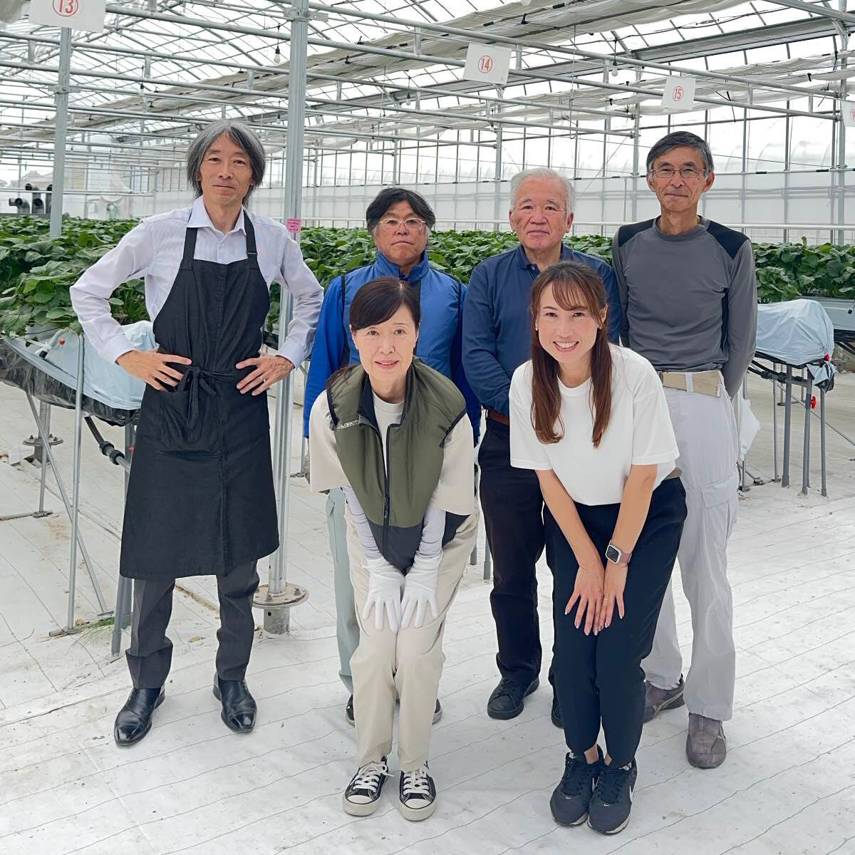 ぐるりいちご農園2025年度収穫終了