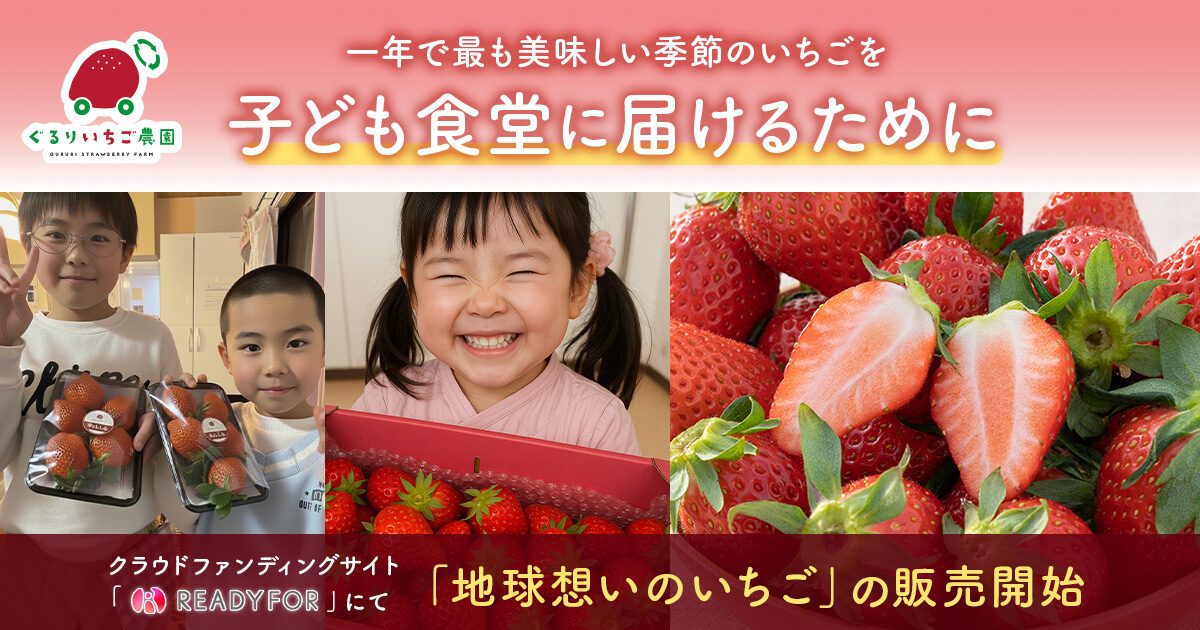 「地球想いのいちご」をクラウドファンディングにて販売開始