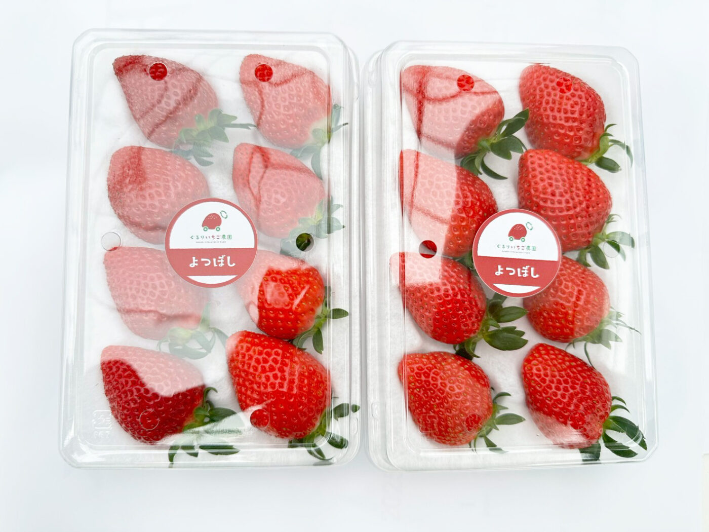 食べチョクトレー