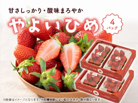 やよいひめ_4パック
