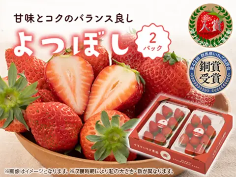 よつぼし_2パック