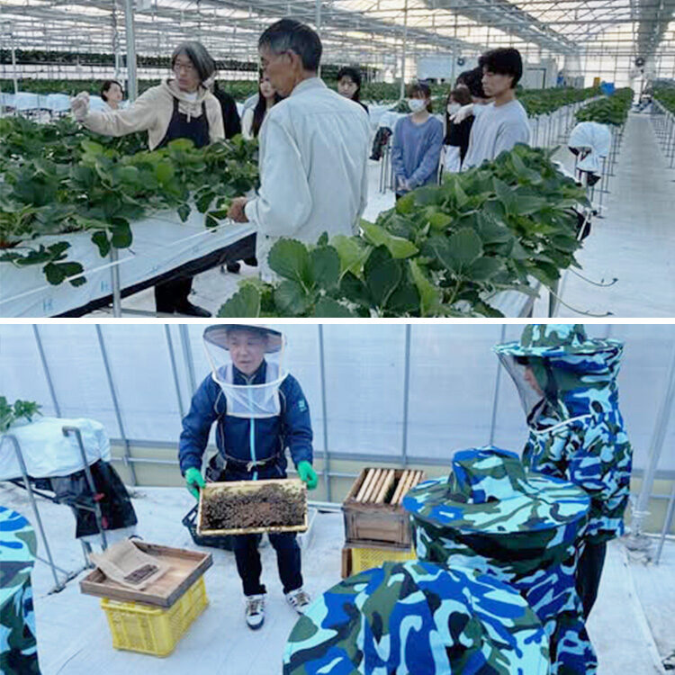 共愛学園前橋国際大学の授業