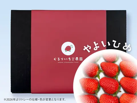 贈答用_やよいひめ