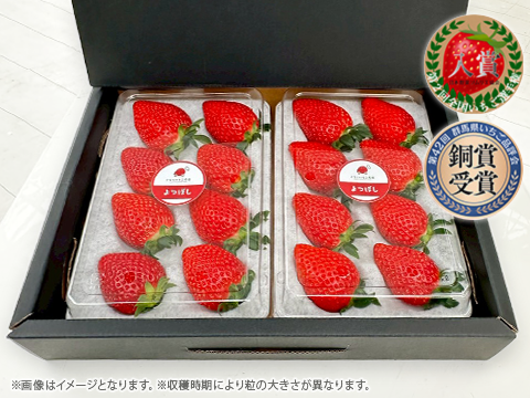 贈答用_よつぼし